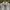 TNGT White Grey Striped Long Sleeve Shirt photo 4