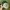 Vintage Hat Pria green tan photo 4