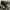 Realtree work jacket boxy photo 6