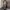 Realtree work jacket boxy photo 2