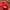 UNDERCOVER x Vans OG Era LX ‘Temples Red’ photo 5