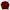 Red Parka Jacket 