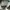 Vans authentic photo 6