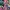 HELLO KITTY KIDS FULL PRINT REVESIBLE JACKET | OUTERWEAR | B photo 7