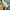 UO Oregon Ducks Tiedye Zoozatz (Free) photo 7