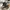 Sepatu Nike Kyrie Black Teal Sepatu Basket Sneakers photo 2