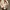 Kemeja AMI Paris Alexandre Mattiussi Ivory White Oxford Shir photo 5