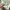 Size L - PLHM x PEANUTS Snoopy Crewneck Mint Green Original  photo 3