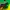 Pancoat Sportswear Puffer jacket Pria yellow photo 5