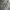 DICKIES - Relaxed Fit Carpenter Pants Heavyweight Duck Canva