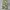 Vintage camo pants
Size 30 photo 2
