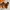 Timberland Boots Women’s Size 38.5