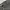 Majah Flavah Carpenter Shimer Lipet photo 8