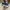 VANS Casual Sneakers Pria black blue photo 4