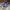 VANS Casual Sneakers Pria white blue photo 3