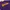 Thrasher Skater Casual T-shirt Pria Purple