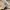 Japanese brand Y2K Skater Hoody Wanita tan photo 5
