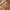 Japanese brand Y2K Skater Hoody Wanita tan photo 2