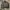 Lafudge Casual Leather jacket Pria gray photo 1