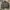 Lafudge Casual Leather jacket Pria gray photo 2