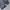 FUBU Y2K Skater Short Pria black gray photo 8