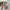 Vintage Blank Realtree Hats  photo 3