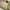 WHO.A.U Casual Denim jacket Pria khaki photo 3