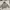 (Pre-order) Gray Y2K Jacket