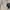 Polo Ralph Lauren Casual Reworked Polo shirt Pria white photo 6
