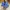 Asics Sportswear Casual Sneakers Pria gold blue photo 4