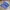 Asics Sportswear Casual Sneakers Pria gold blue photo 1