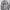 Hoodie dickies  photo 1