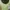 SET Green Graphic with Blue Stripped Off The Shoulder Y2K photo 3