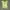 SET Green Graphic with Blue Stripped Off The Shoulder Y2K photo 1