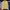 Size XL-XXL | Men’s Wear Store Korea Mustard Crewneck Drop S photo 2