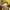 Size XL-XXL | Men’s Wear Store Korea Mustard Crewneck Drop S photo 4