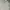 Dockers Casual Casual shirt Pria multicolor cream photo 3