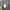 Adidas Jersey F1 Petronas Mercedes photo 3