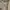 Y2K Casual Formal shirt Pria tan photo 3