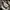 VANS Streetwear Skater Sneakers Pria white black photo 6
