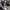 VANS Streetwear Skater Sneakers Pria white black photo 3