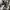 VANS Streetwear Skater Sneakers Pria white black photo 5