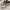 Asics Sportswear Sneakers Pria tan photo 1