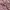 Fairy Y2K Blouse Wanita multicolor pink photo 4