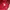 Uniqlo Skater Casual Harrington Jacket Pria Red