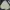 Casual Windbreaker Pria cream photo 1