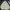 Casual Windbreaker Pria Cream