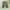 Custom Cargo Army - Jorts Pants photo 1