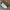 adidas bw army original photo 5