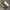 adidas bw army original photo 4